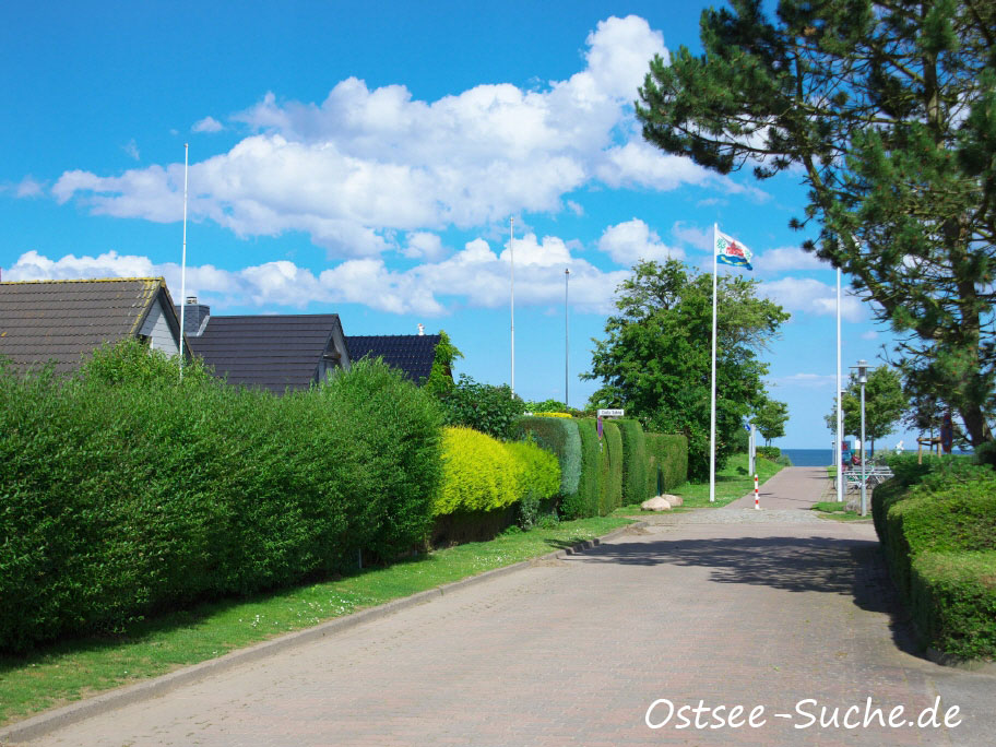 Der Weg zum Ostseestrand in Kraksdorf. Rechts und Links sind grüne Hecken zu sehen